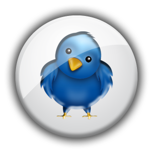 ccinc_twitter_alternate_bird